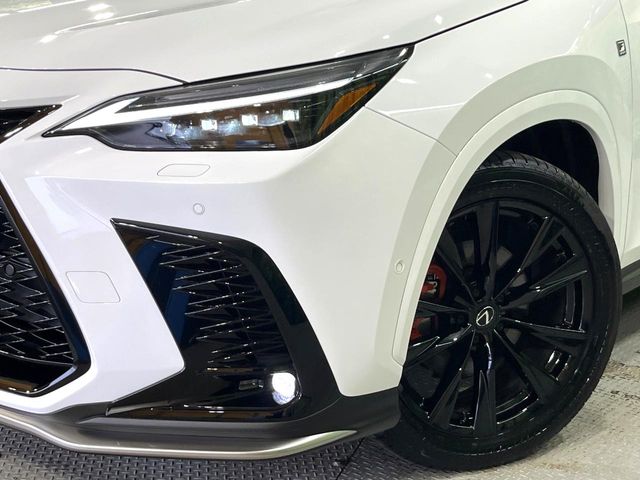 Lexus NX 12