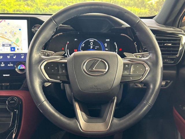 Lexus NX 11