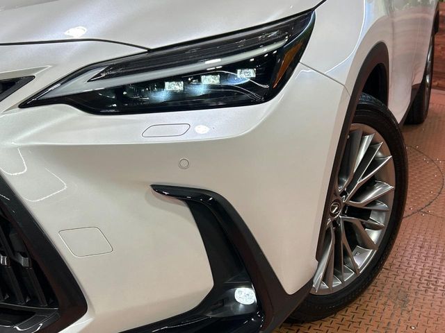 Lexus NX 12