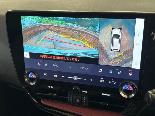 Lexus NX 4