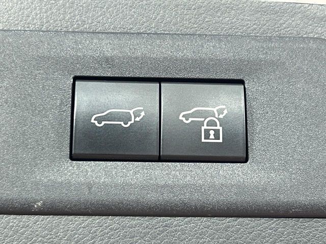 Lexus NX 6