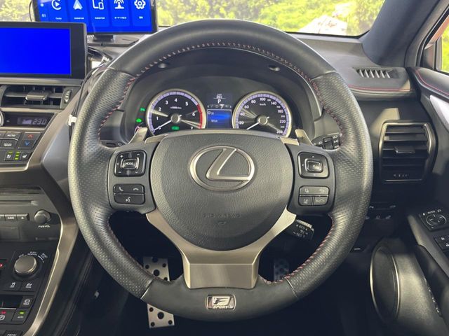 Lexus NX 11