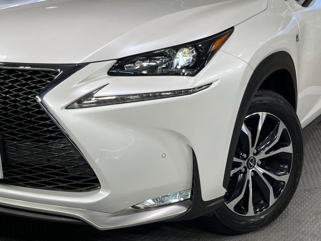 Lexus NX 12