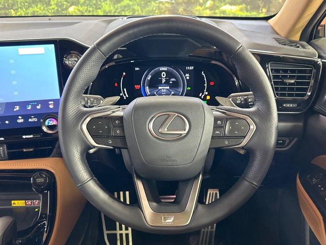 Lexus NX 11