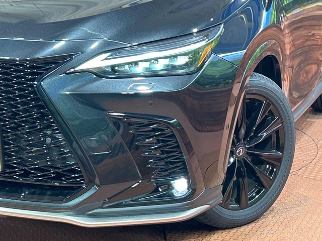 Lexus NX 12