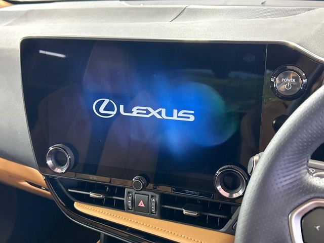 Lexus NX 4
