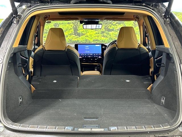Lexus NX 10