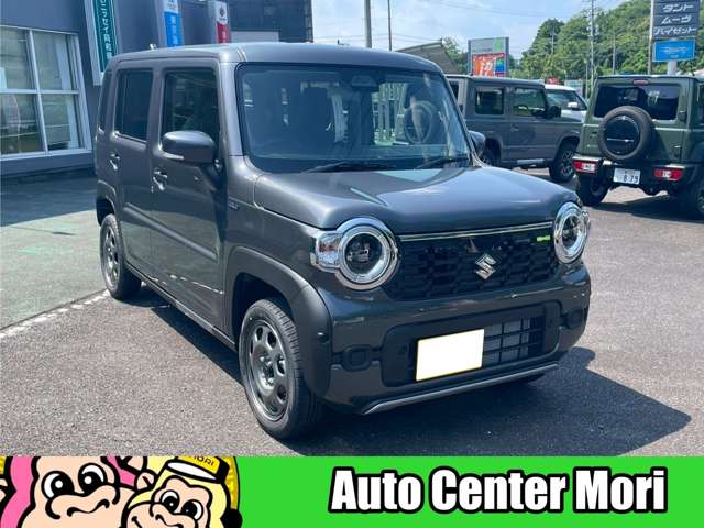 Suzuki Hustler 11