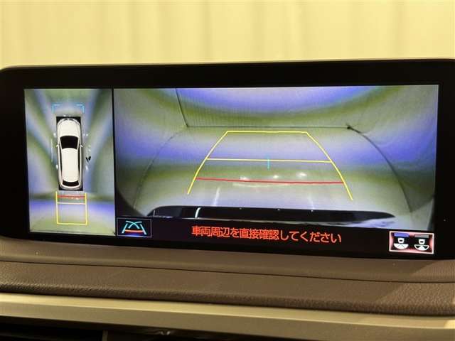 Lexus RX 12