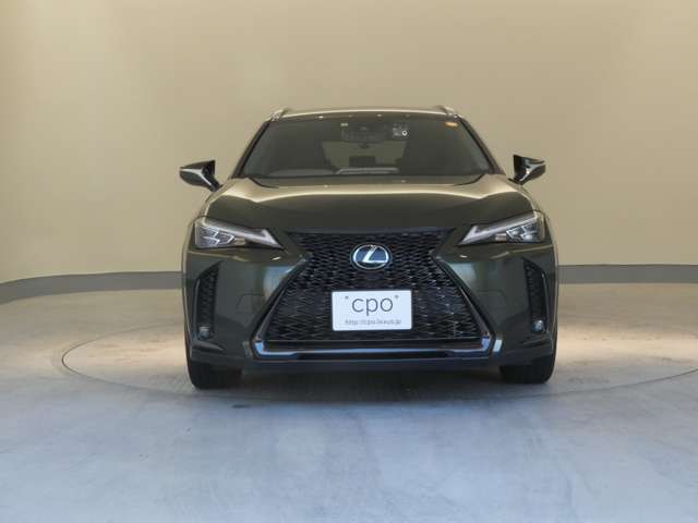 Lexus UX 11