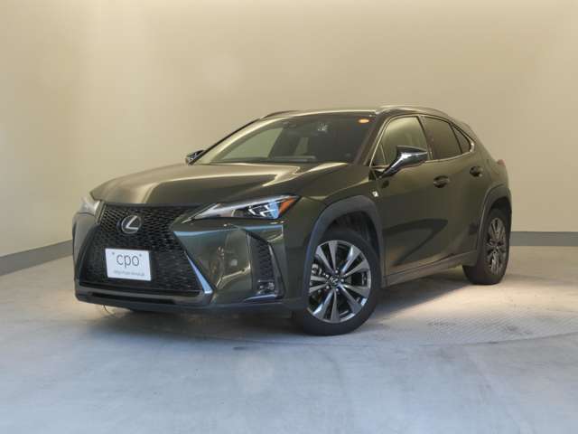 Lexus UX 12