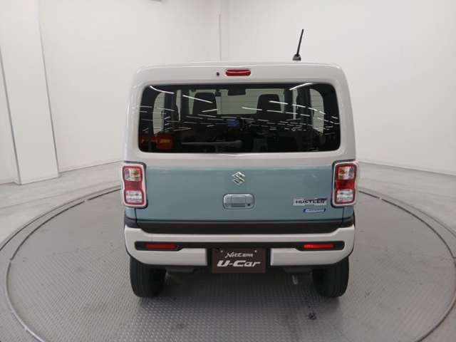 Suzuki Hustler 6