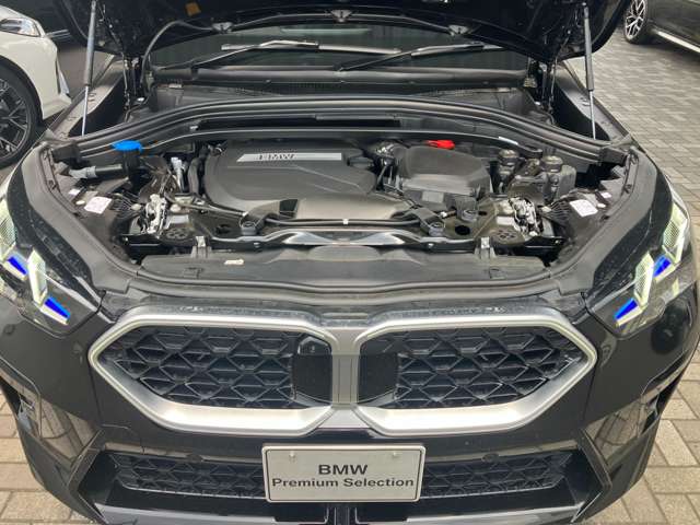 BMW X2 10