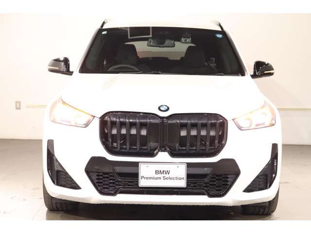 BMW X1 9