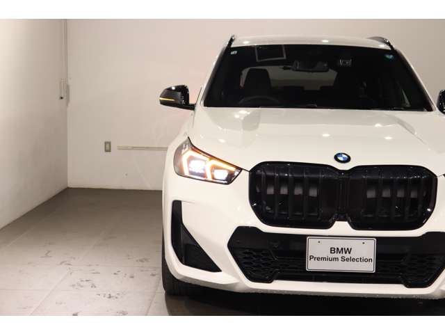 BMW X1 10