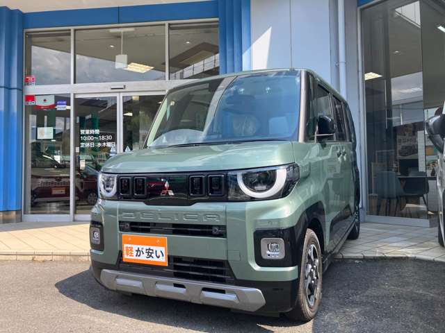 Mitsubishi Delica Mini 6