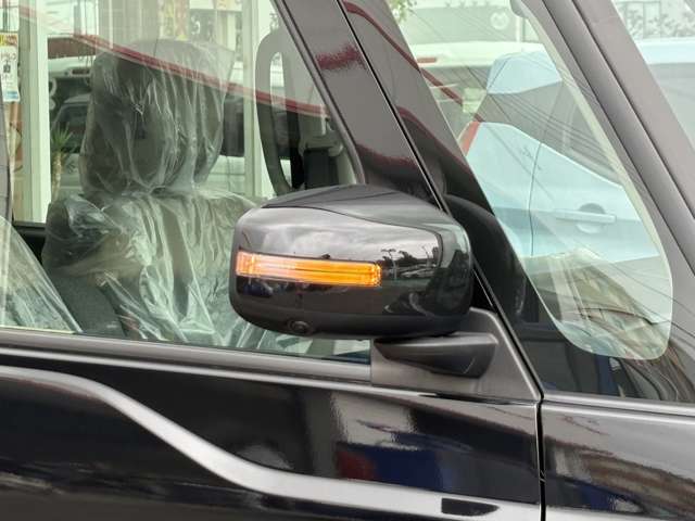 Mitsubishi Delica Mini 11
