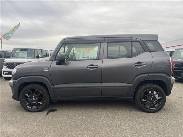 Suzuki XBEE 6