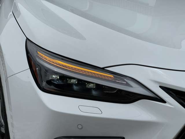 Lexus NX 11