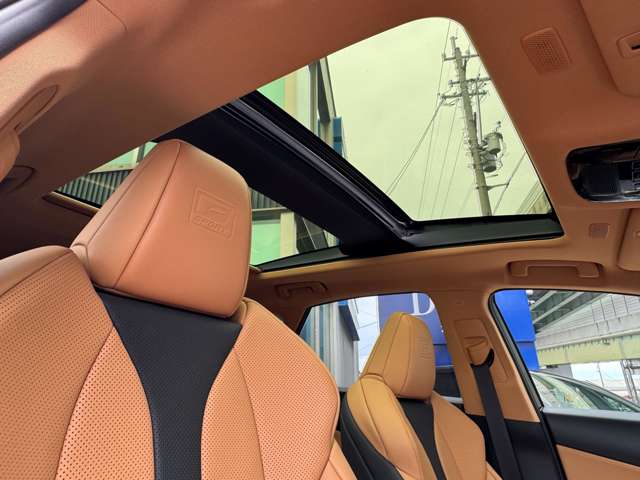 Lexus NX 4