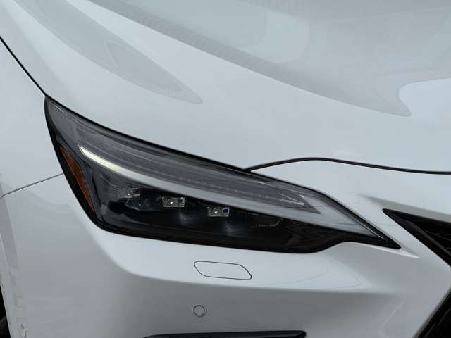 Lexus NX 10