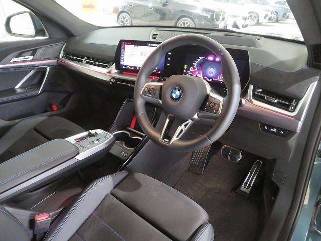 BMW X2 10