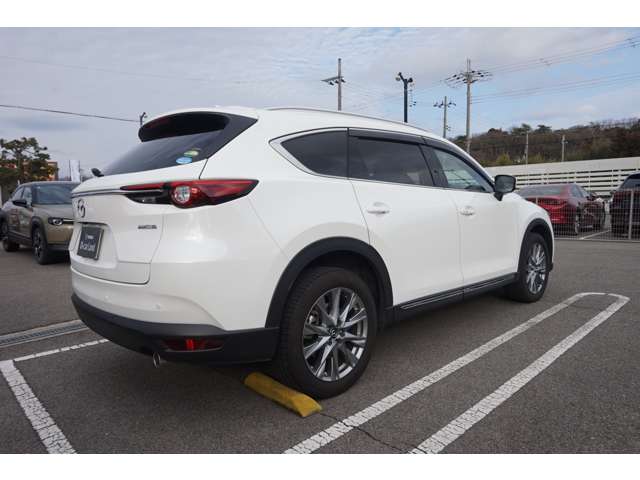 Mazda CX-8 6