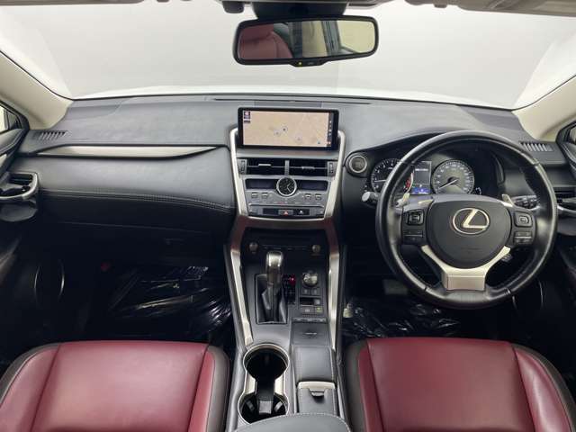 Lexus NX 4