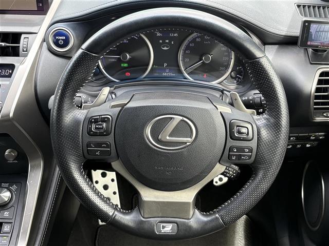 Lexus NX 11