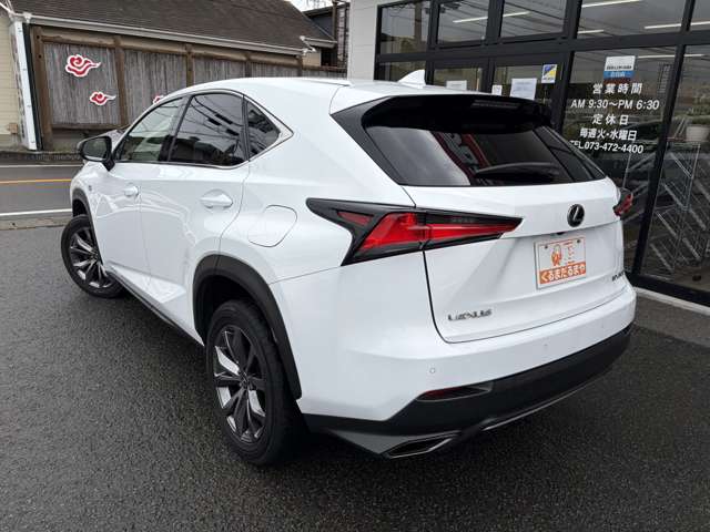 Lexus NX 11