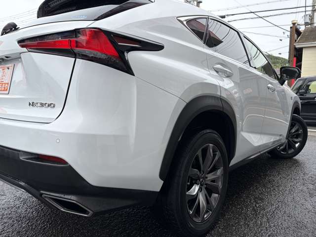 Lexus NX 12