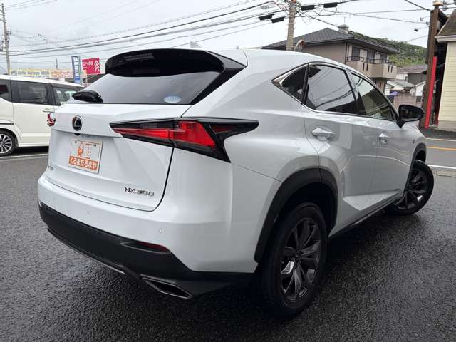Lexus NX 10