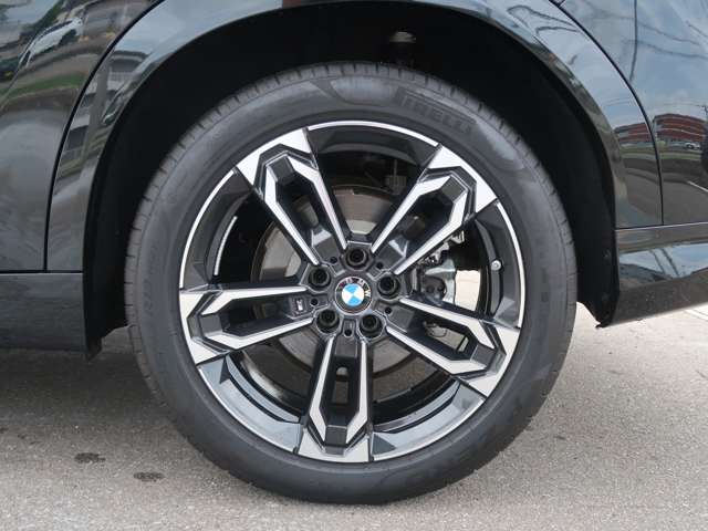BMW X2 10