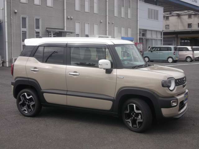 Suzuki XBEE 11