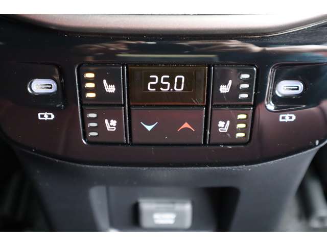 Lexus RX 11