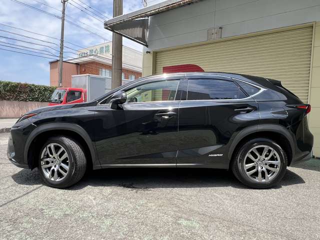 Lexus NX 12