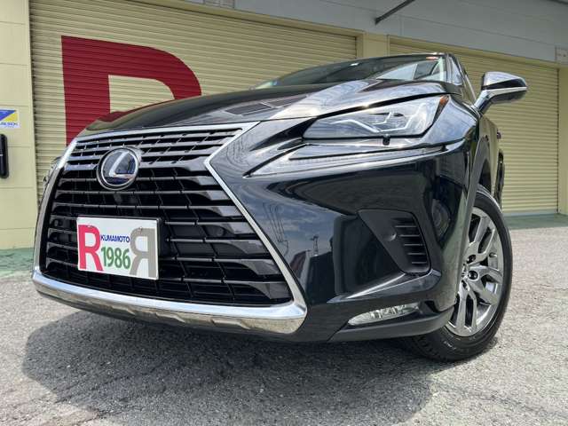 Lexus NX 4