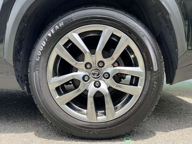 Lexus NX 6