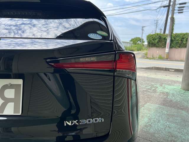 Lexus NX 7