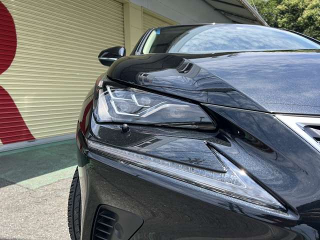 Lexus NX 9