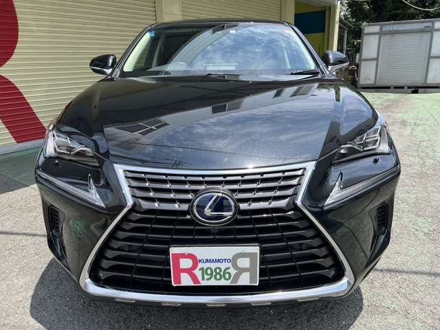 Lexus NX 10