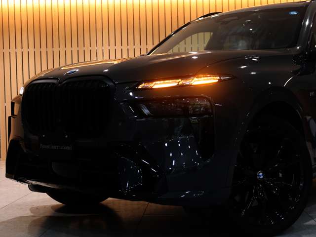 BMW X7 10