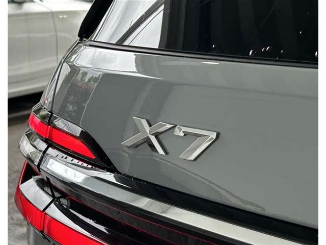 BMW X7 12