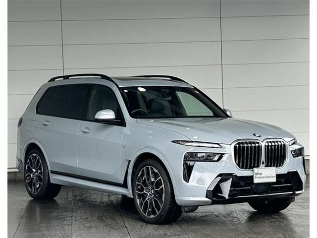 BMW X7 10