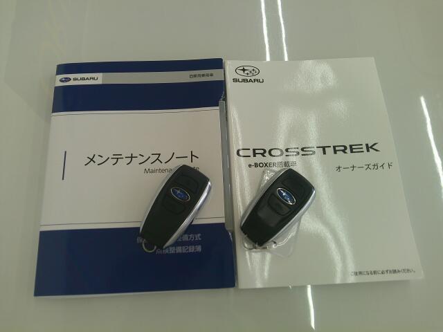 Subaru Crosstrek 7