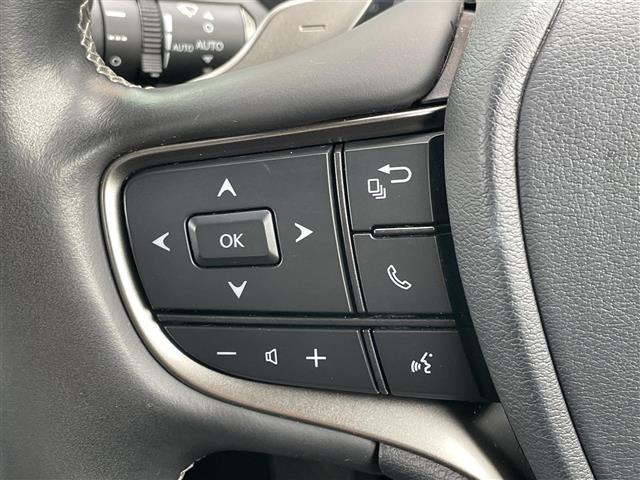 Lexus UX300e 12