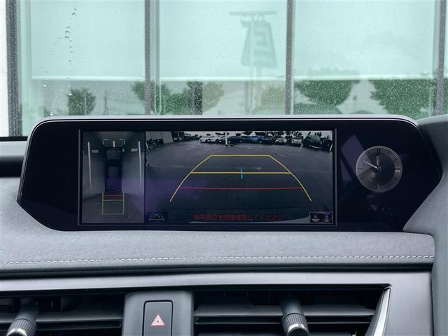 Lexus UX300e 6