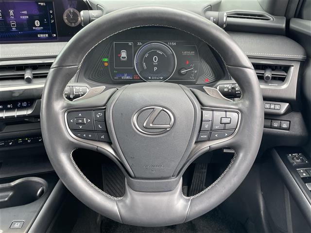Lexus UX300e 10