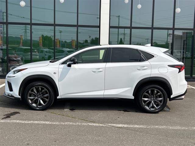 Lexus NX 6