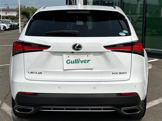 Lexus NX 7